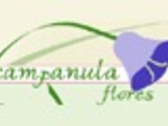 CAMPANULA