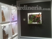 Cuadro vegetal