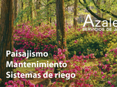 Jardines Azalea