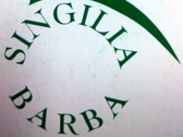 Singilia Barba - Jardinería y piscinas