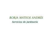 Borja Mateos Andrés