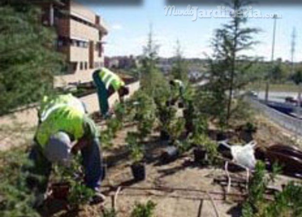 Trabajos realizados