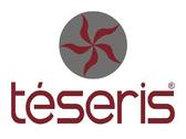 Logo Teseris Stone