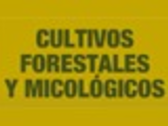 CULTIVOS FORESTALES