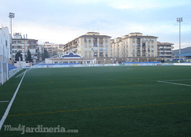 Campo de fútbol