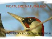 Picatuero Naturaleza