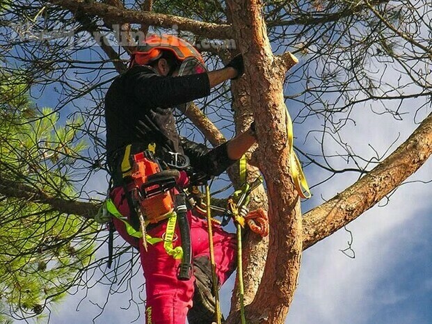 Equipo-humano-la-destral.jpg