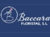 BACCARA FLORISTAS, S.L.