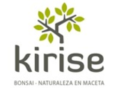 Kirise