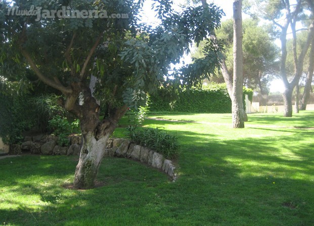 Jardinería Mes Natur