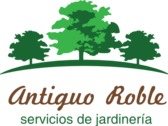 Antiguo Roble