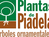 Plantas de Piadela