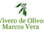 Vivero De Olivos Marcos Vera