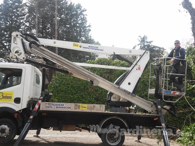 trabajos de poda con camion