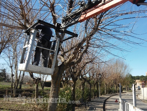 Trabajo con camion cesta