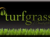 Turfgrass