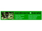 Servicios de Jardinería Básica