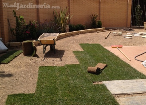 Construccion de jardin