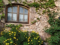 Projecte jardí 2.jpg