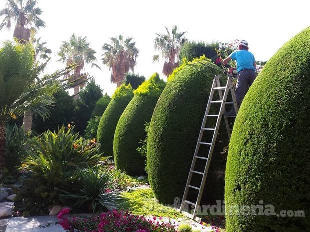 Mantenimiento de jardines.