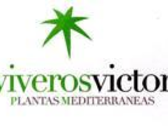 Viveros y Plantas Víctor SLU