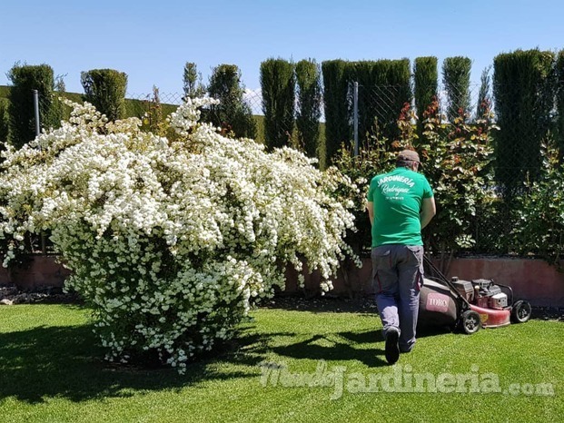 Mantenimiento de jardín