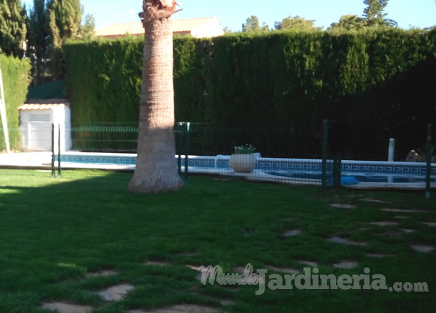 Mantenimientos jardines en Valencia