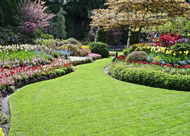 Jardinería Valencia Green Company