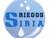 Riegos Siria