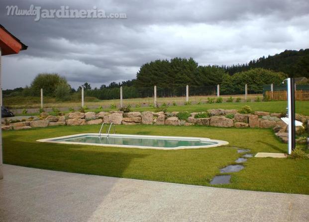 Piscina y jardín