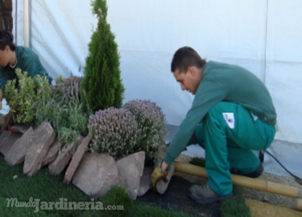 Decoración jardín