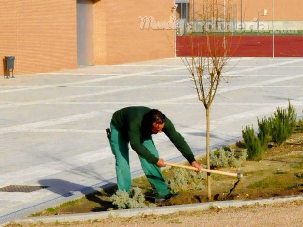 Mantenimiento de jardines