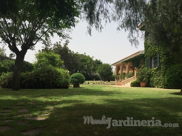 Jardinería Turrillo: Jardinería y Paisajismo