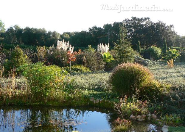 Otoño en el jardín