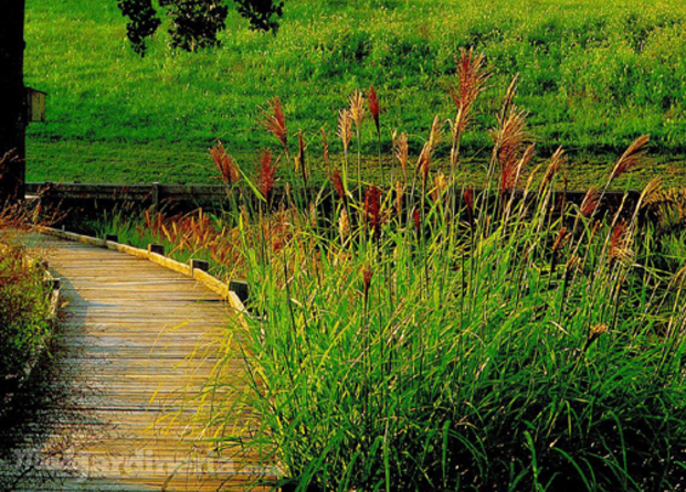 Jardinería