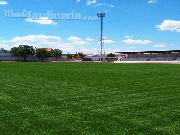 Campo de Fútbol