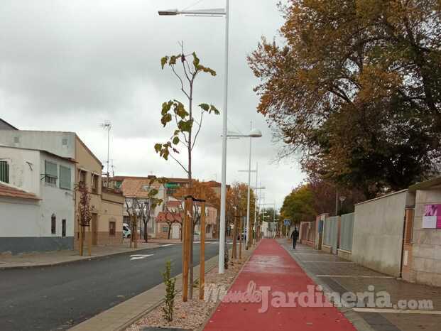 Jardin 6.jpeg