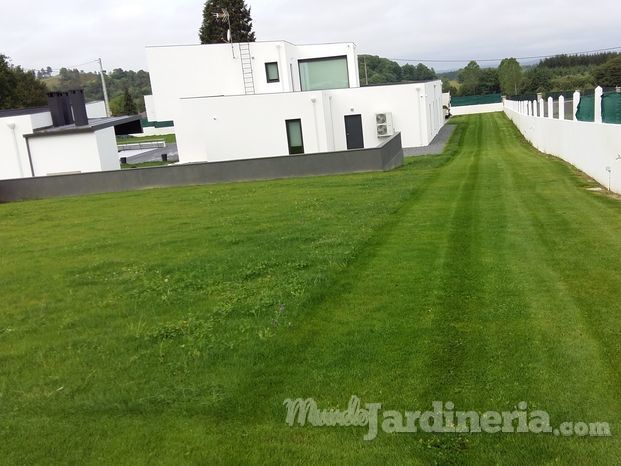 Mantenimiento de un jardin privado