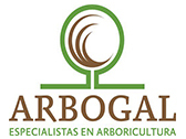Arbogal