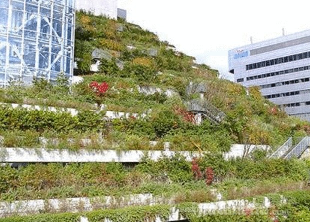 Jardines colgantes