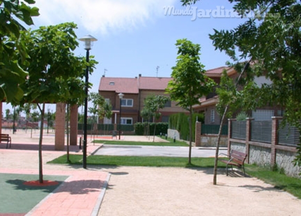 Parques Públicos