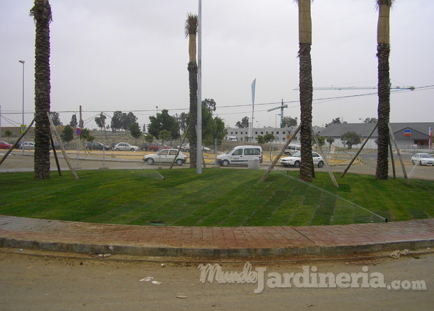 Instalación tepe en glorieta