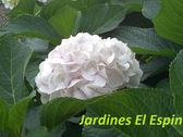 Jardinería El Espinar