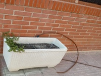 Riego automático a jardineras, jardines