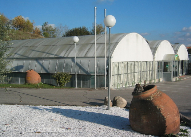 Vista invernaderos