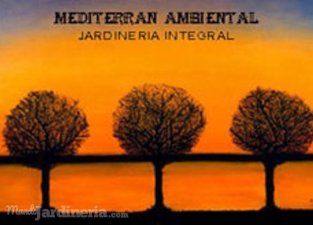 Mediterran Ambiental