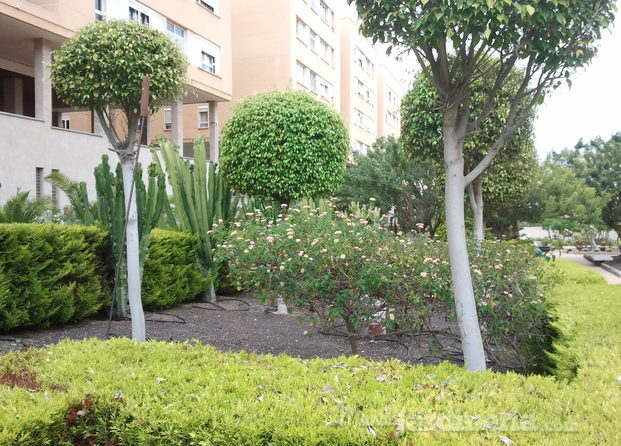 Jardín