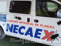 Necaex - Control Integral