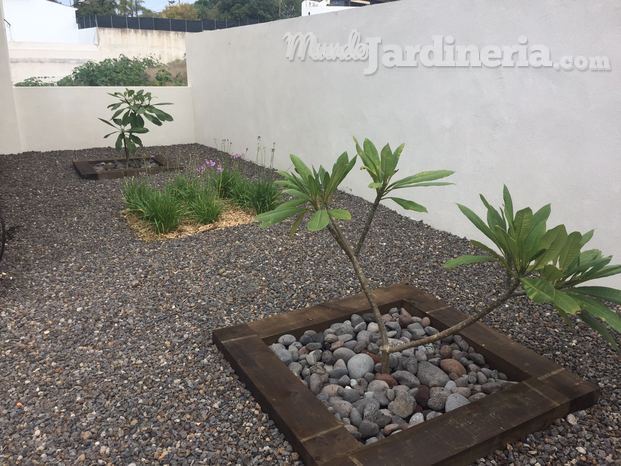 Jardín minimalista