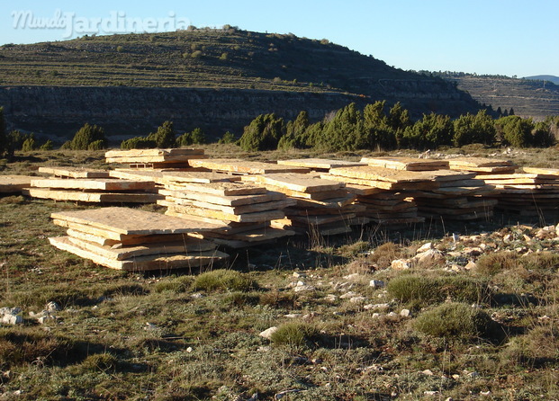 Aragonesa de Canteras